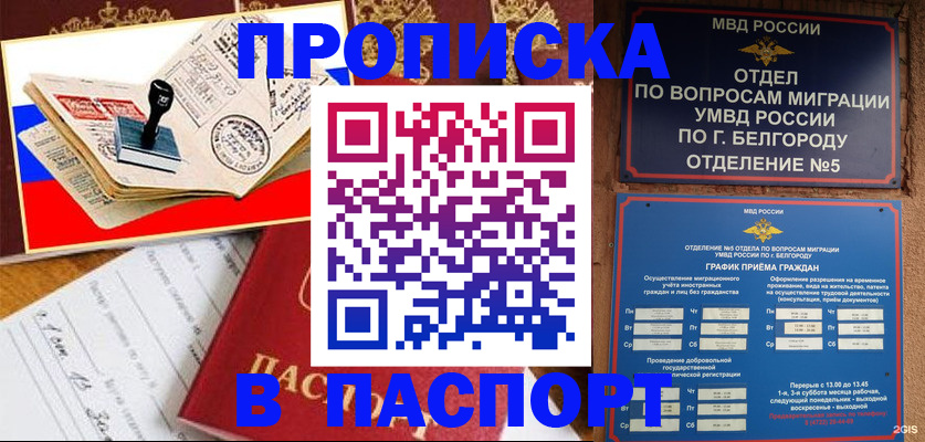 временная регистрация для всех в Сальске